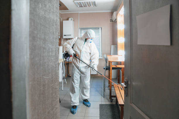 Best Environmental Consulting for Mold Prevention  in Battle Ground, IN