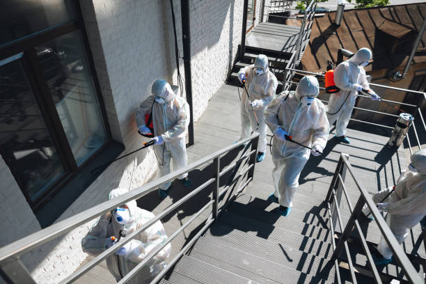 Best Mold Odor Removal Services  in Battle Ground, IN