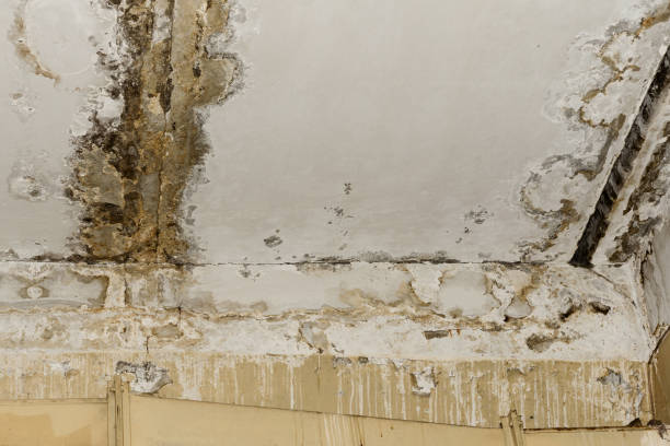 Asbestos and Lead Testing During Mold Inspection in Battle Ground, IN