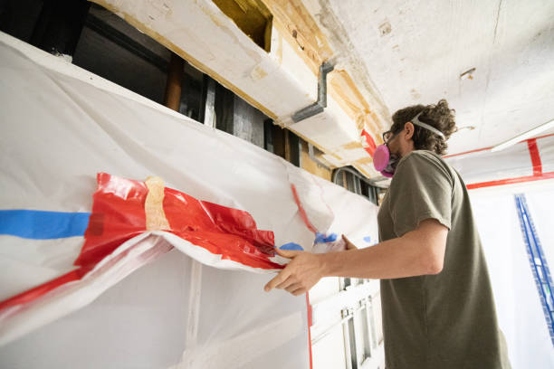 Best Basement Mold Removal  in Battle Ground, IN