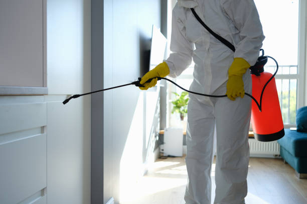 Best Biohazard Mold Removal  in Battle Ground, IN